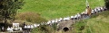 Thumbnail for version as of 13:16, 1 July 2007