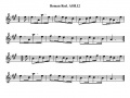 Thumbnail for version as of 17:59, 13 September 2009
